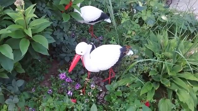 ЧЕРНАЯ СТАРИЦА ОТ ВРАГОВ