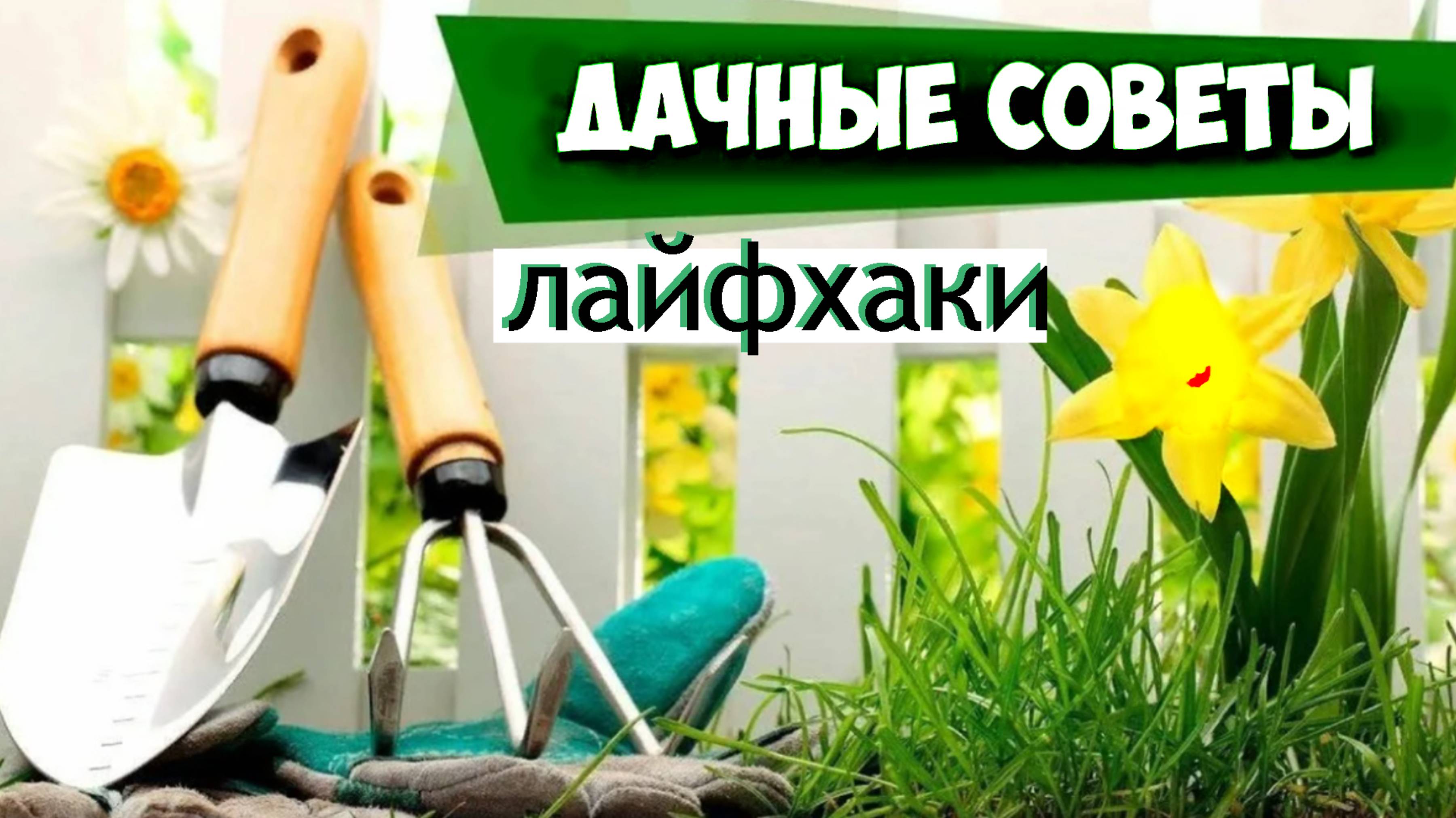 🏠Дача-Советы. Лайфхаки🐝🌻🌼🍁
