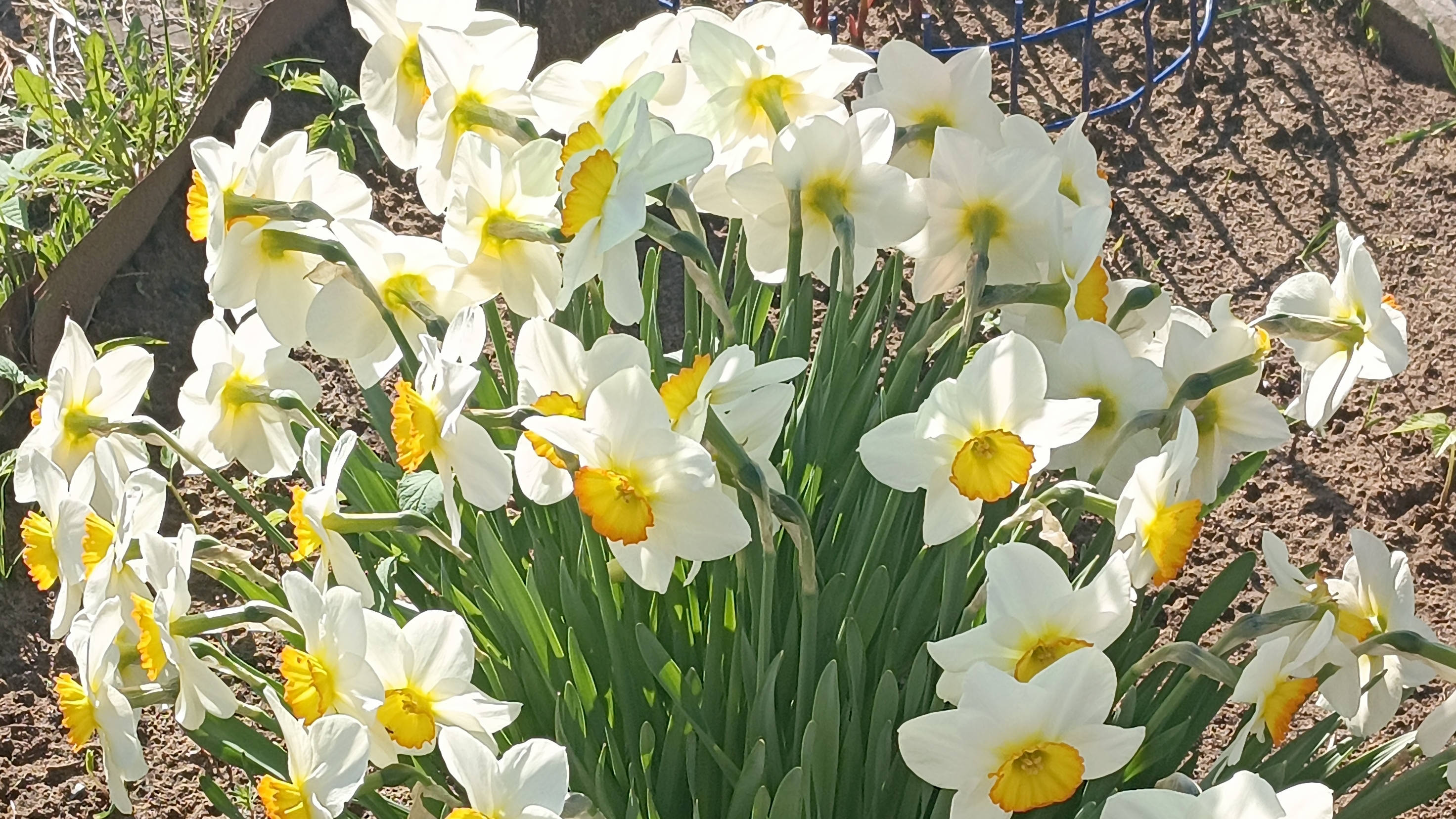 16-05-2025📖читаем комментарии