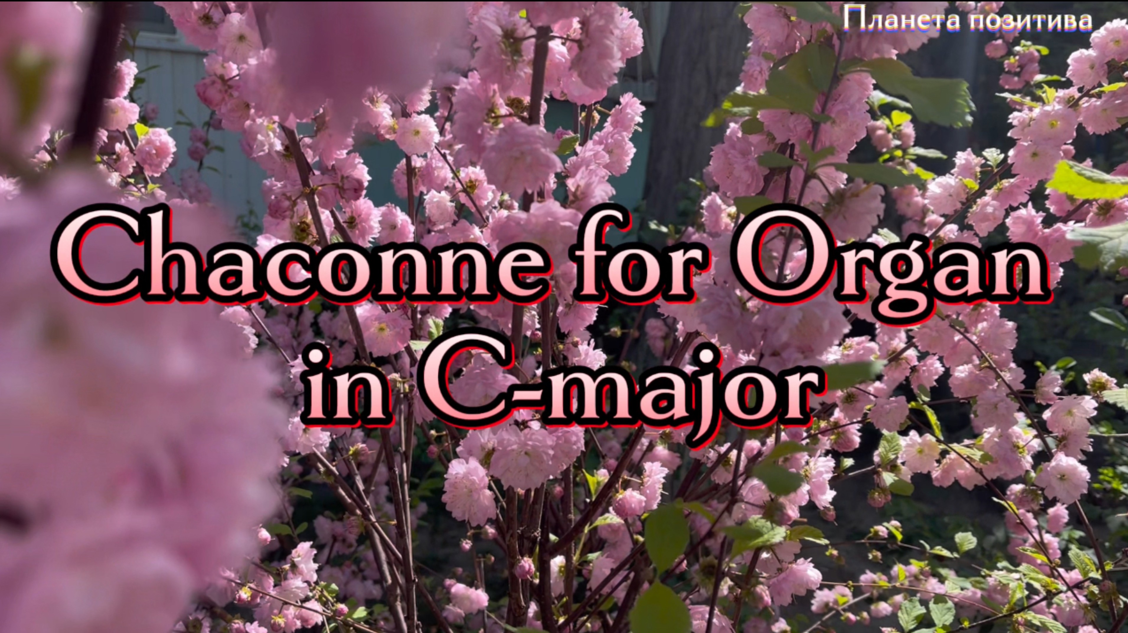 Chaconne for Organ in C-major, Александр Губанов, музыка для души