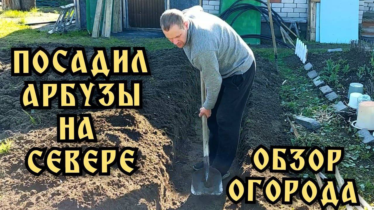 Дача. Обзор огорода. Посадка арбузов и дынь.