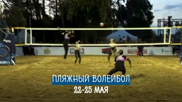 Краснодар. Май. Игра