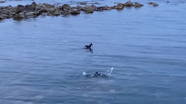 Где отдыхать на море летом 2025?