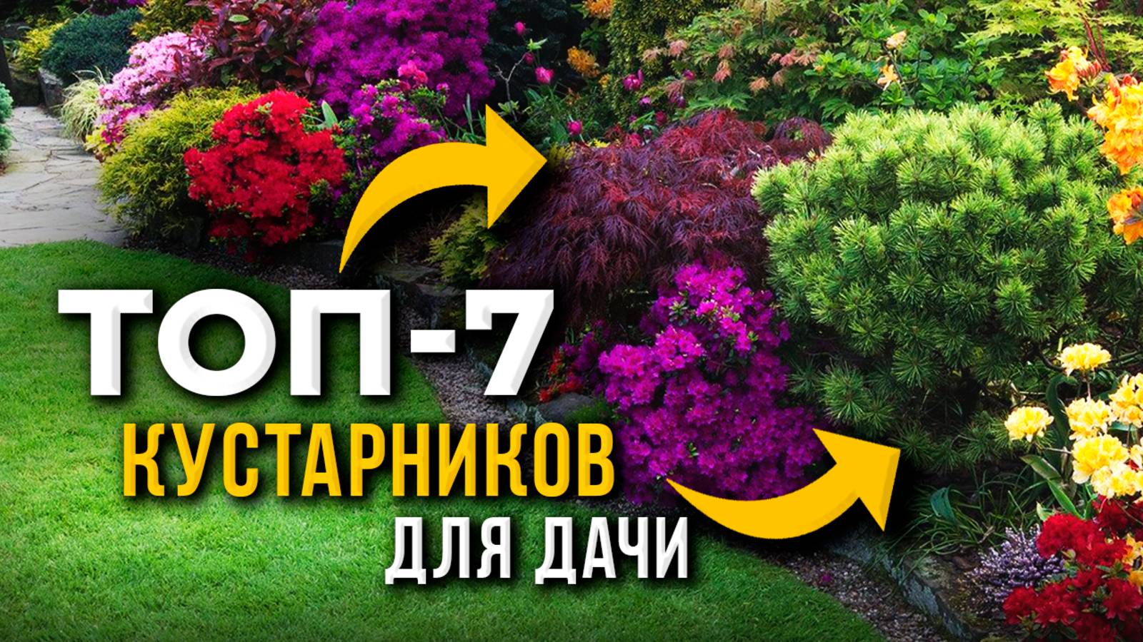 КРАСИВЫЕ Декоративные Кустарники для Сада, которые ПРЕОБРАЗЯТ ВАШ УЧАСТОК!