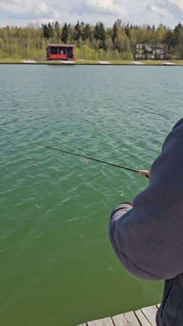 Ловим на зимнюю блесну летом!