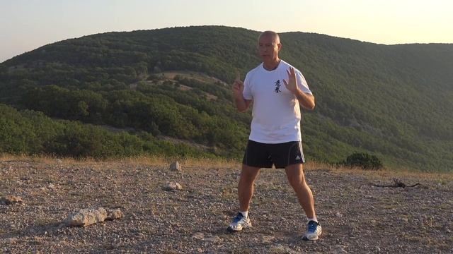 ШКОЛА ИЦЮАНЬ-9 /Ченбао Чжуан, Тибао Чжуан / Усилие в столбах (вверх-вниз)