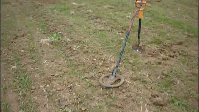 В поисках золота