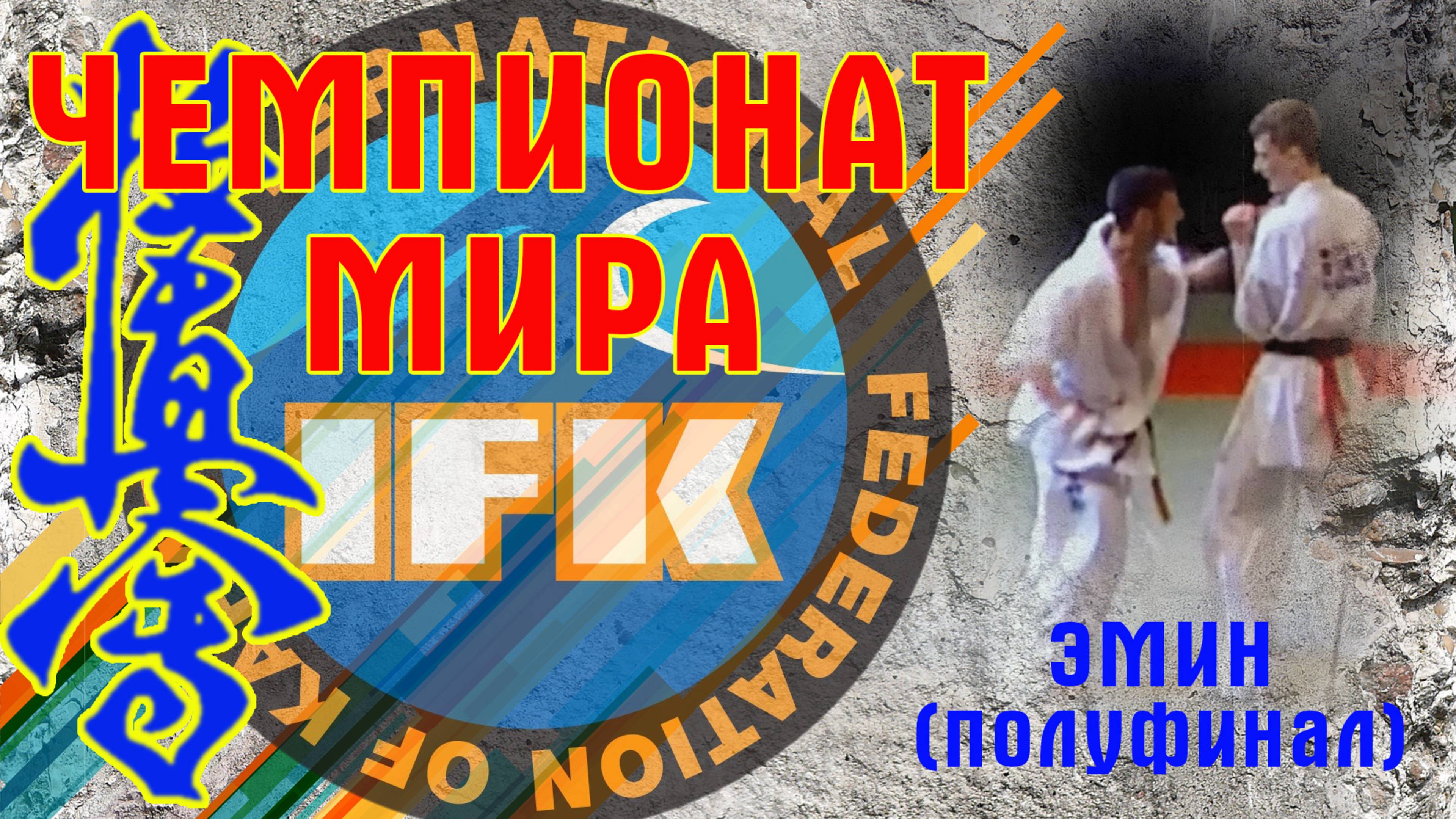 Киокусинкай.Чемпионат Мира.ИФК.Эмин(полуфинал)