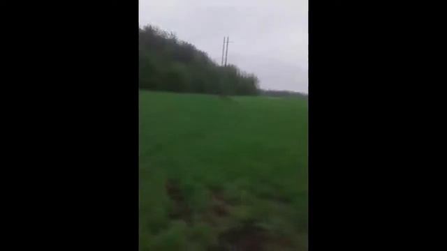 И снова пятак!