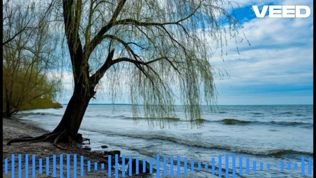 Иннокентий Анненский — На северном берегу