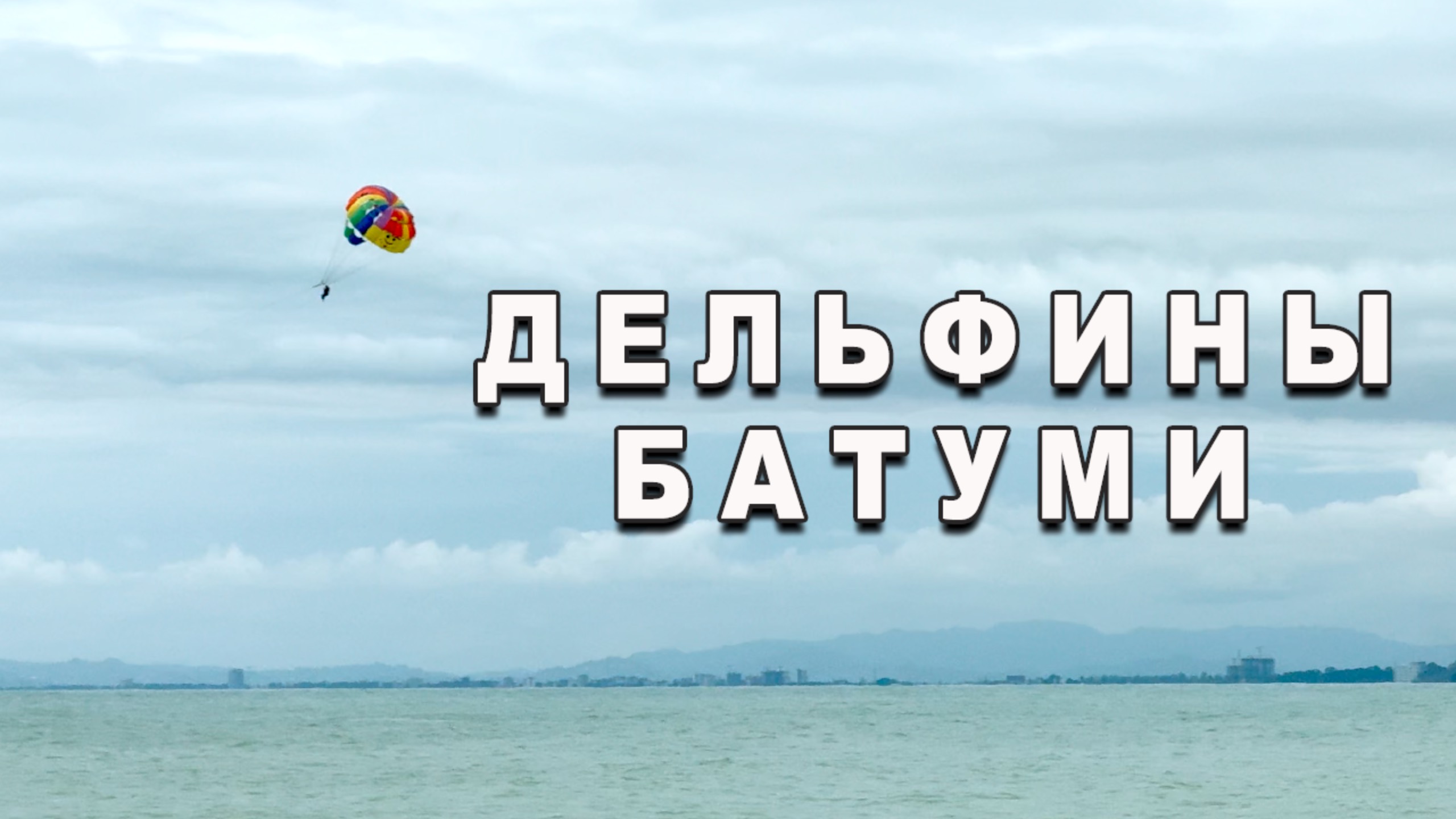 Дельфины Батуми 🐬 Грузия
