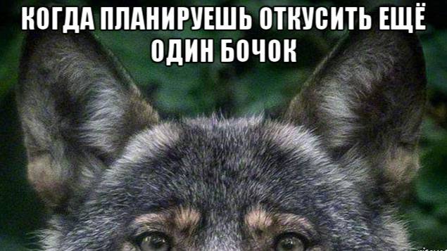 Не ложитесь на бочок (Древняя мудрость)