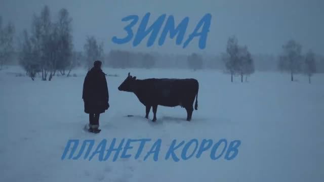 Фильм Планета коров зима