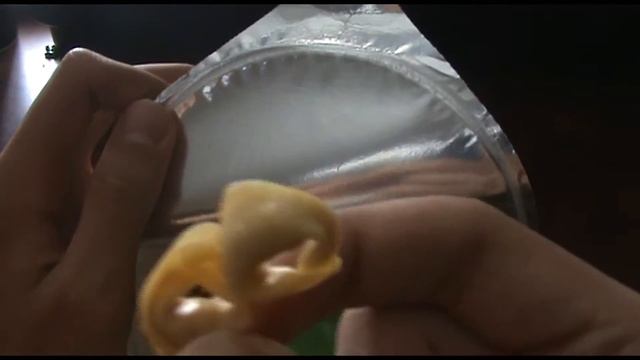 Обзоры еды с Данчиком и Кирюхой №22 (Пельмени)