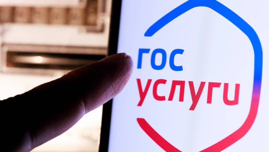 Как быстро подать жалобу через госуслуги?