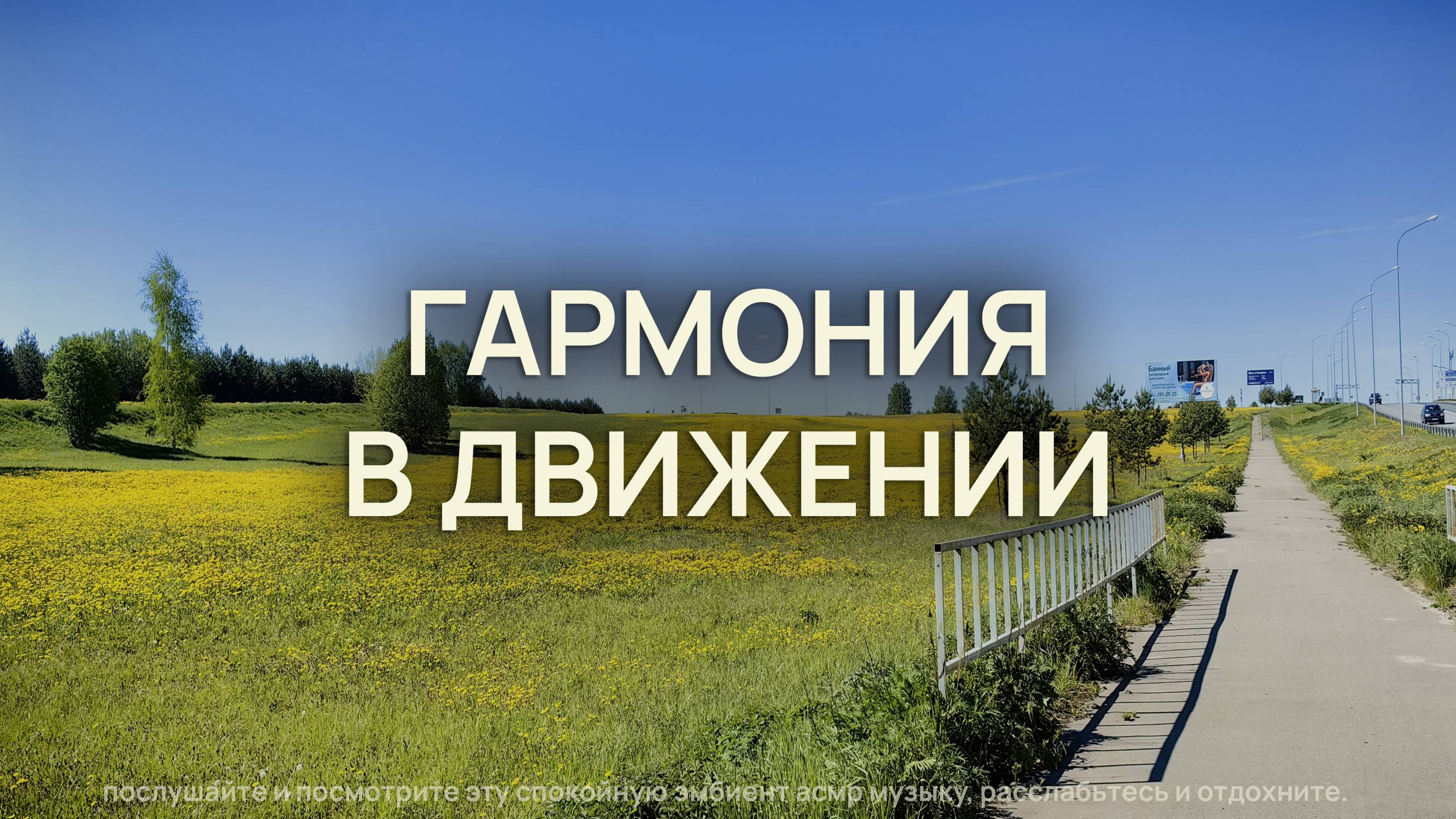 Гармония в движении: 15 минут чистого релакса: АСМР, эмбиент и звуки прогулки на самокате в Завидово