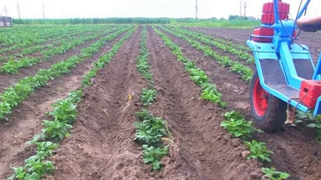 ПУХ ПАХАТЬ. Автор, исполнитель Рафис Хайдаров.