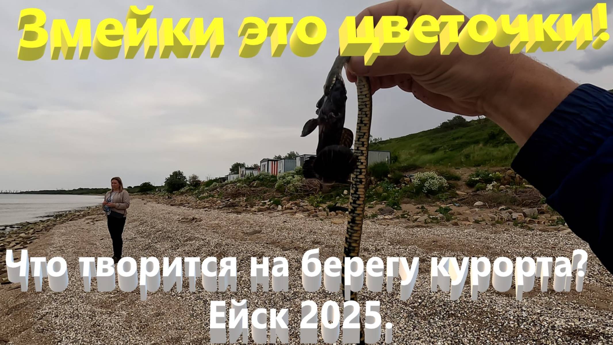 Что творится на берегу курорта? Ейск 2025. Змейки это цветочки! Азовское море.