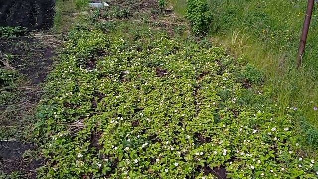 С днём пионерии ❤💐🤗