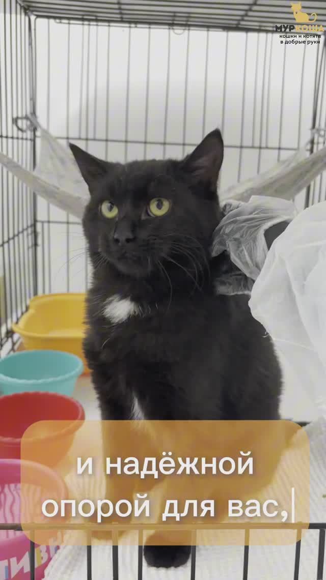 Графит (уже дома)