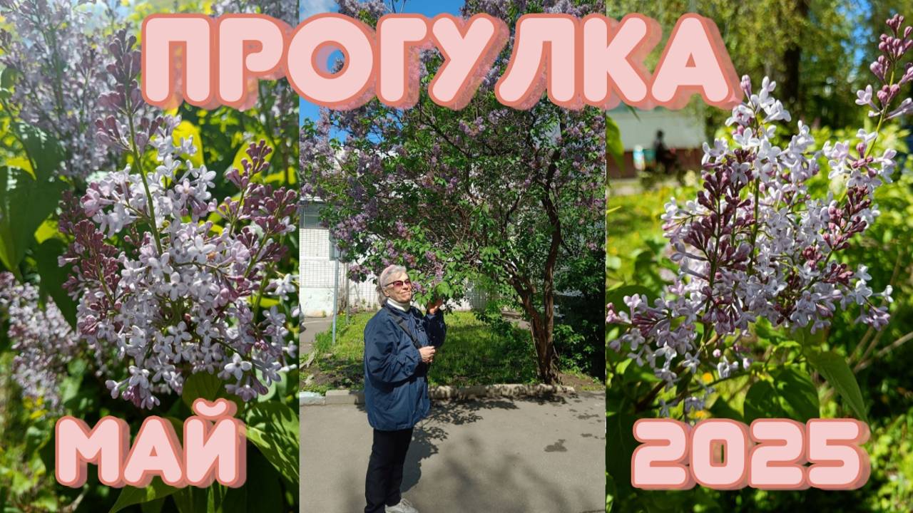Прогулка за посылкой | Городская суета | Май 2025