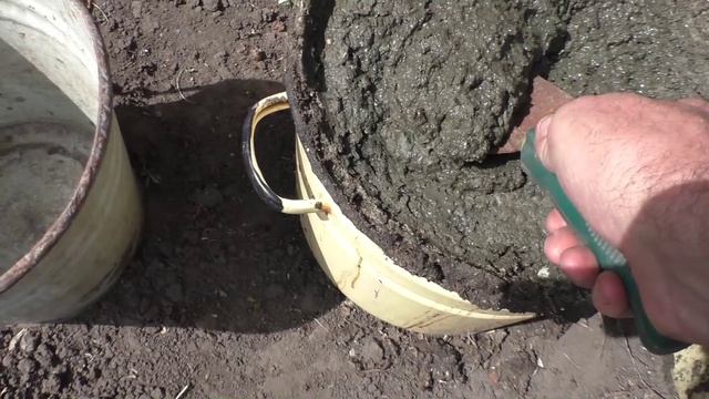 Весенняя подкормка клубники куриным пометом