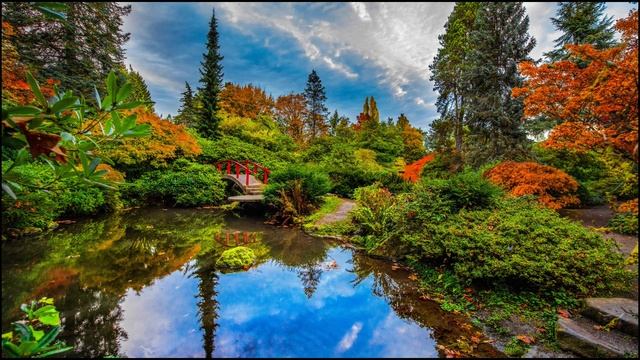 EMPI - ＂Japanese Gardens＂