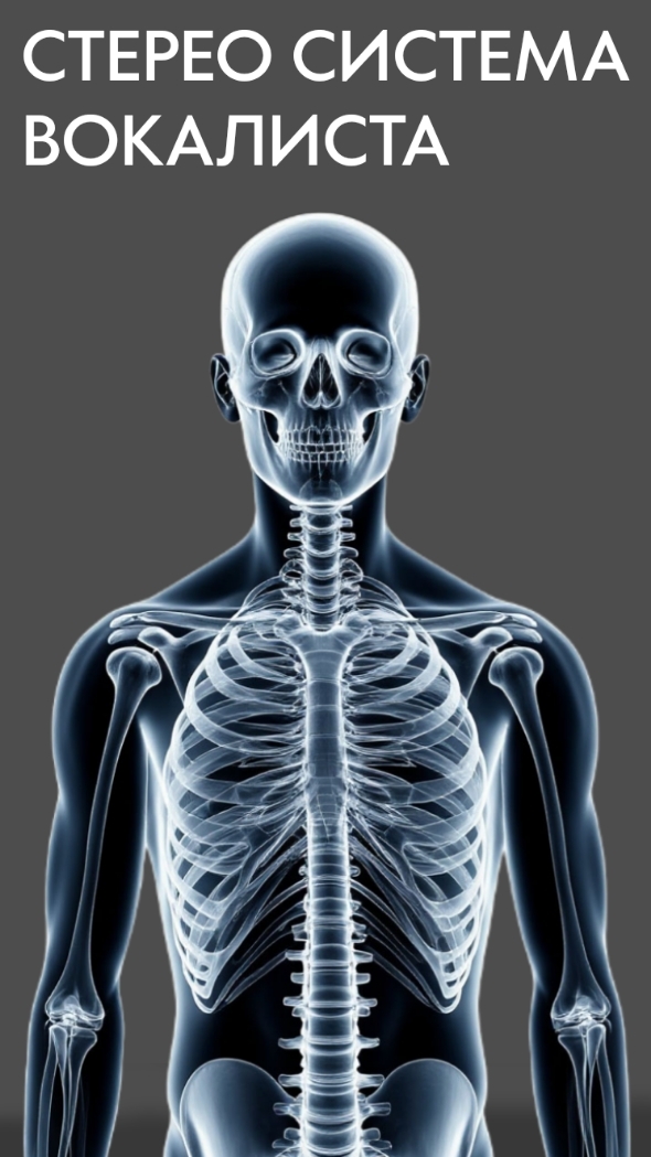 СТЕРЕО СИСТЕМА ВОКАЛИСТА