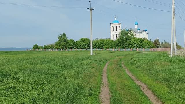 Интересные вести с полей: «Воскресный день», результаты нашей работы, серия № 4.