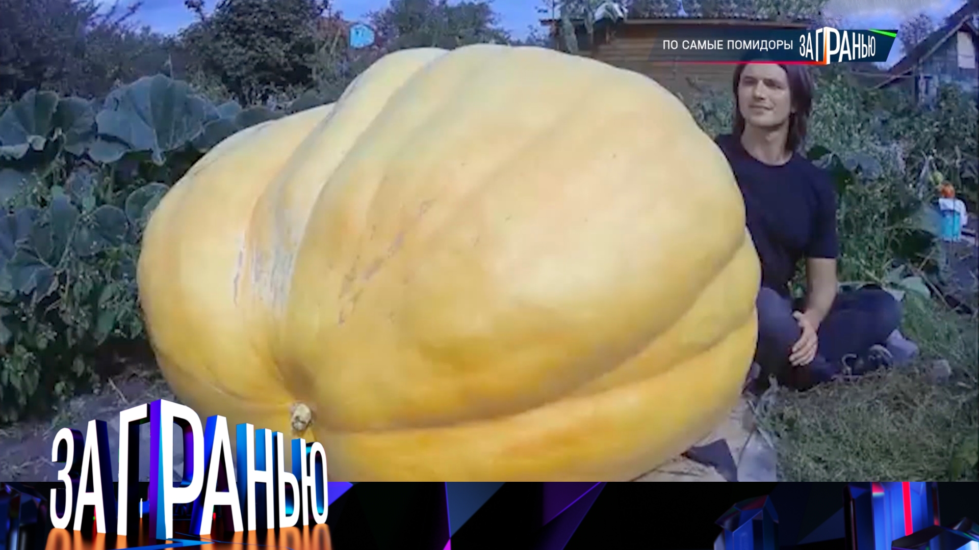 «За гранью»: «По самые помидоры» | Выпуск от 19 мая 2025 года