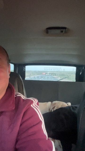 8 лап и две ноги anzl.ru возвращаются домой.