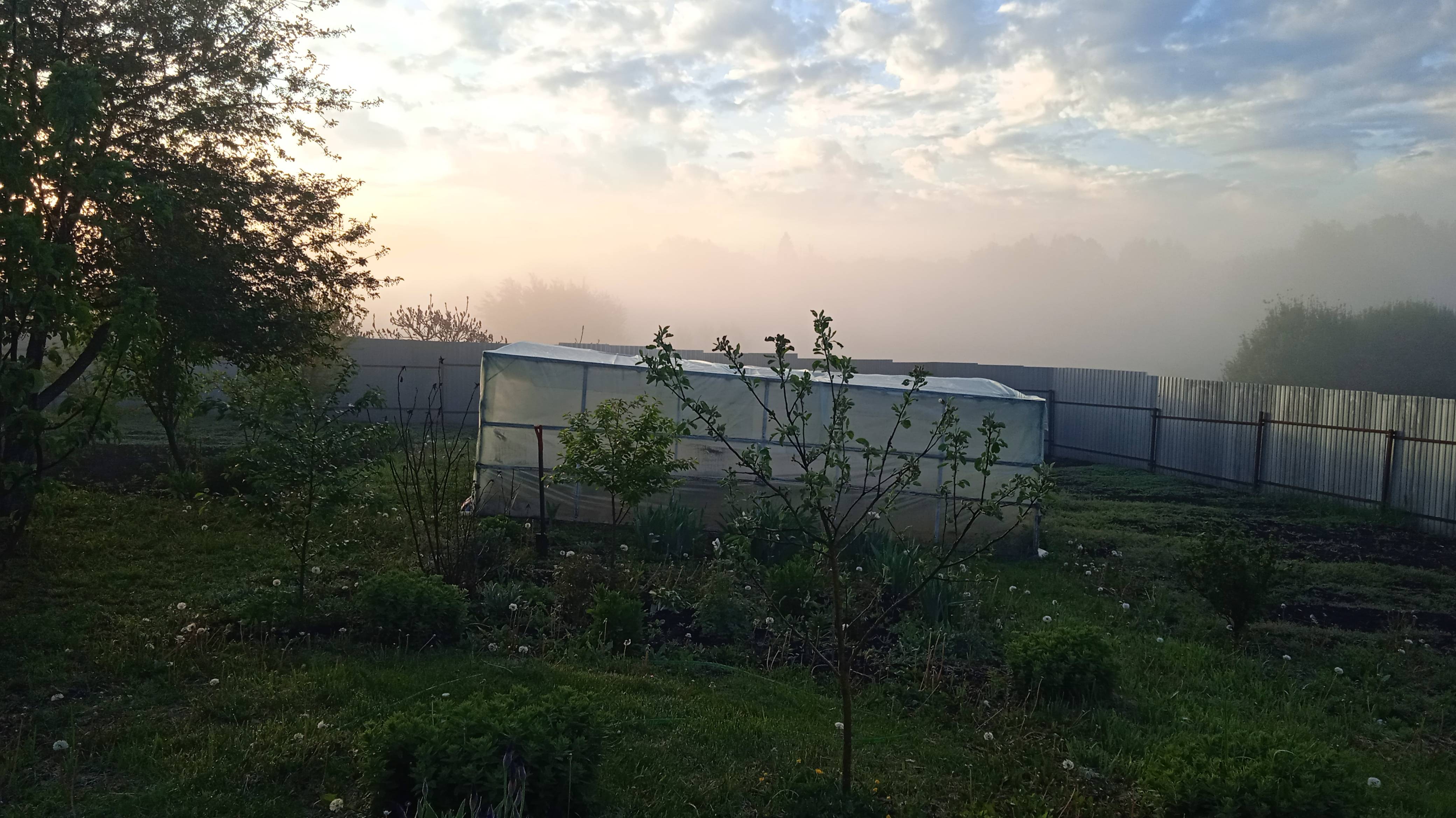 19.5.25г. ТУМАН!!!  УТРО!!!  Небесная КРАСОТА!!!