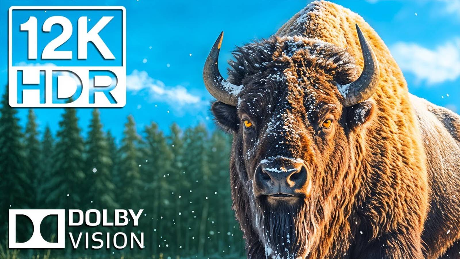 УДИВИТЕЛЬНЫЕ ЖИВОТНЫЕ И КРАСОТА ПРИРОДЫ 12K HDR 120 КАДРОВ В секунду