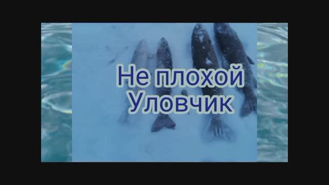Рыбалка! Зима-Весна. 
10 Марта 2025 года.