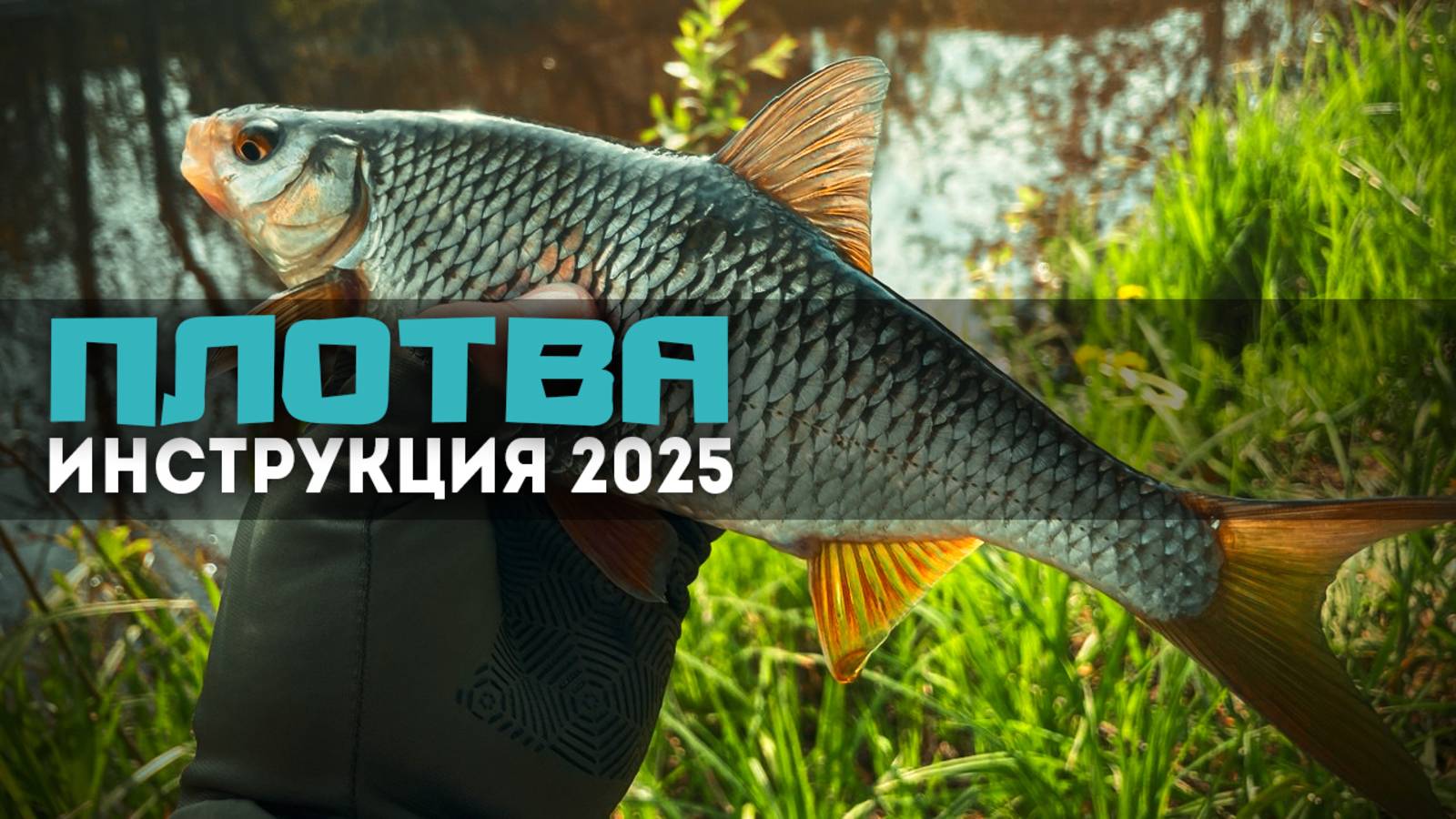 ⚡ЖИРНАЯ ПЛОТВА АТАКУЕТ! Стритфишинг с результатом: ТРОФЕЙ на фиолетовый цвет! #мормышинг #рыбалка