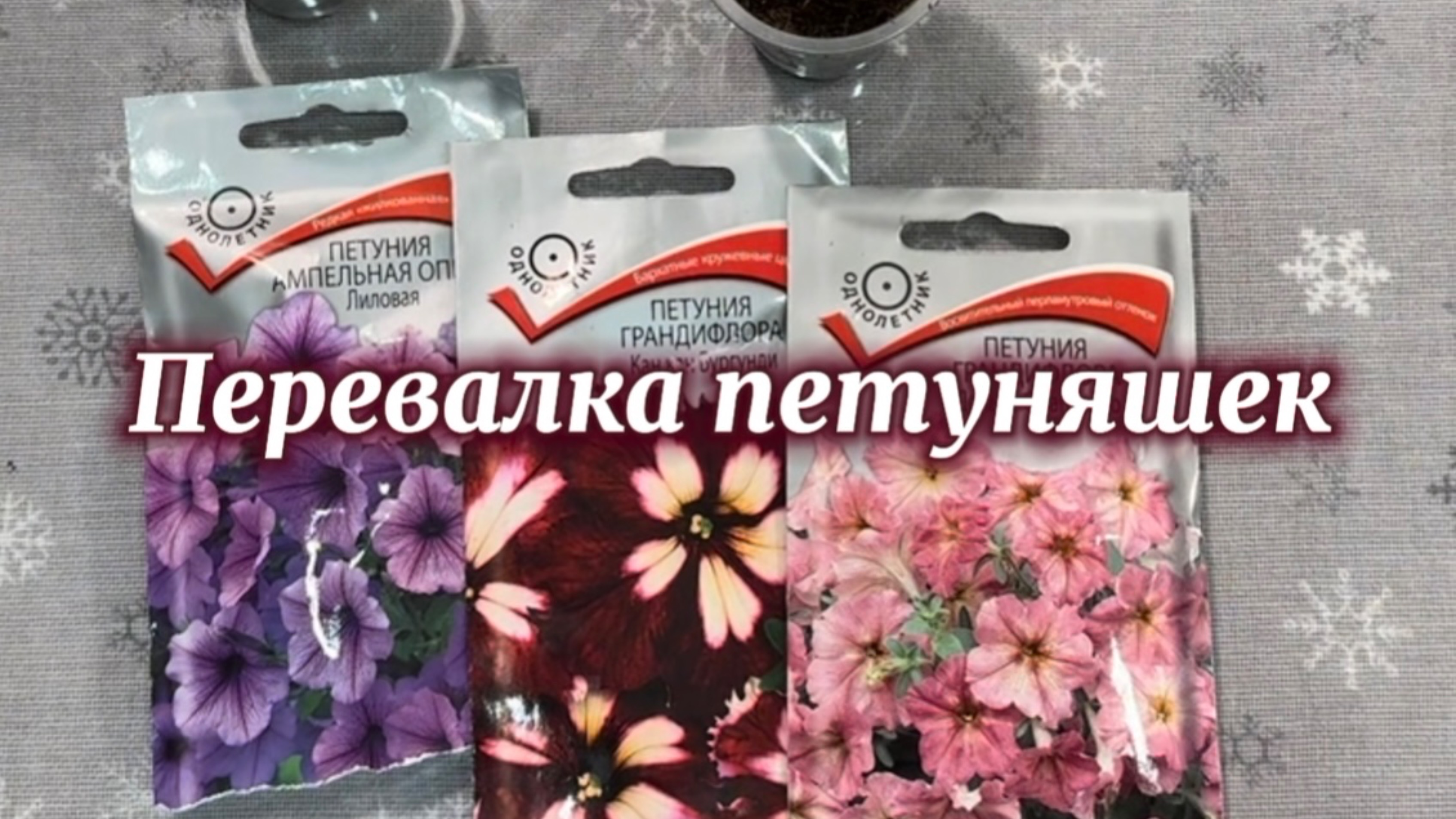 Перевалка петуняшек