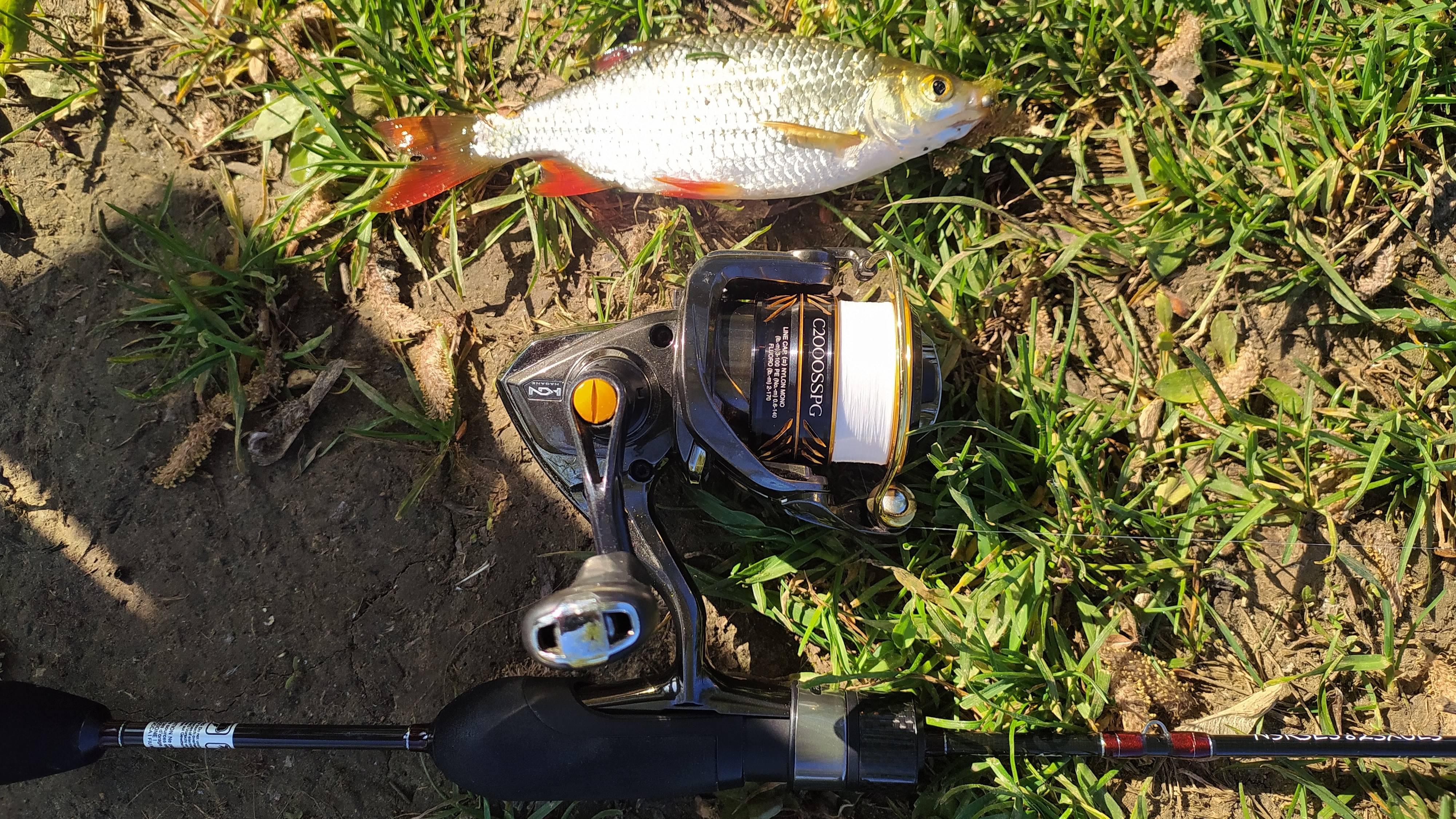 МОРМЫШИНГ. Ивановский пруд, утром 15 мая 2025 года