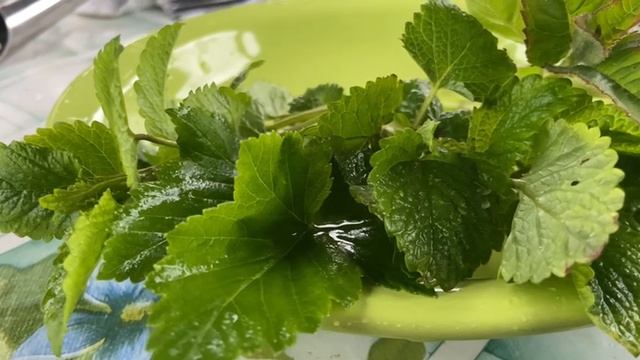 Травяной чай, очень вкусно. Мелиса, черная смородина, монарда