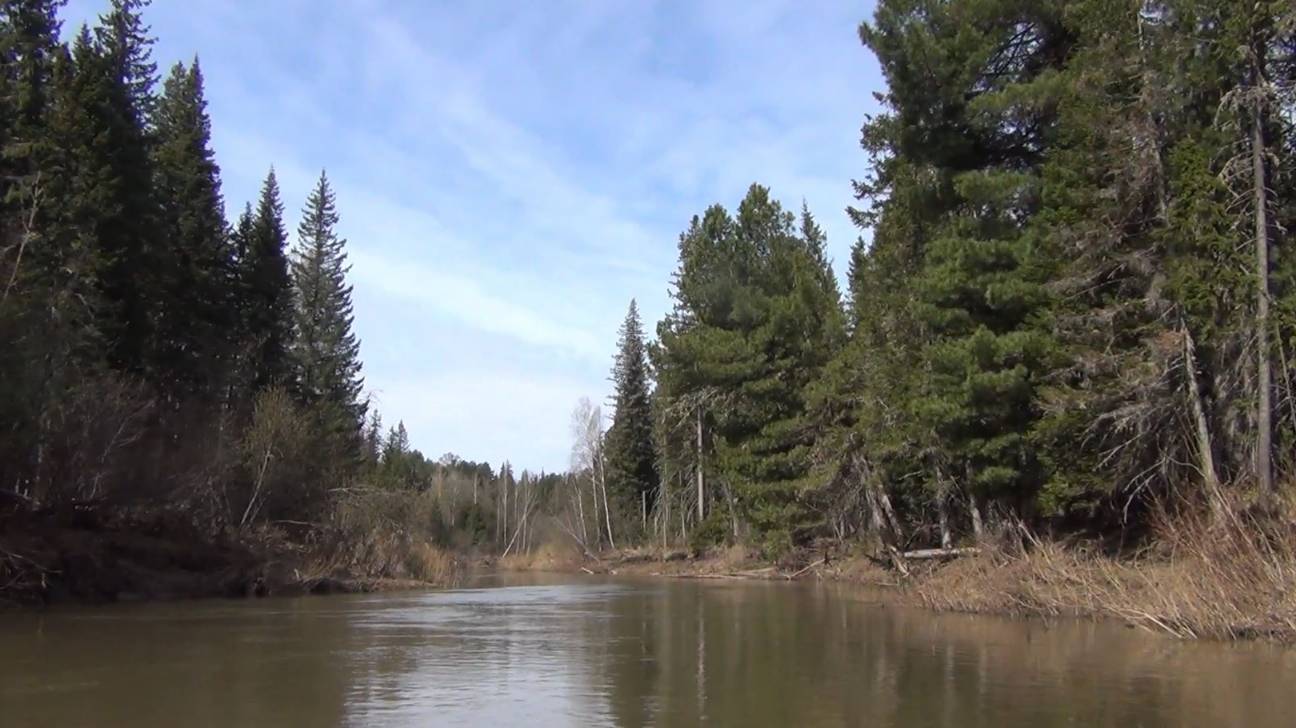 Жизнь ОТШЕЛЬНИКА в ДЕВСТВЕННОЙ ТАЙГЕ 2025 Руд 17ма Рыбалка Охота Поход Медведь Один в Лесу у реки