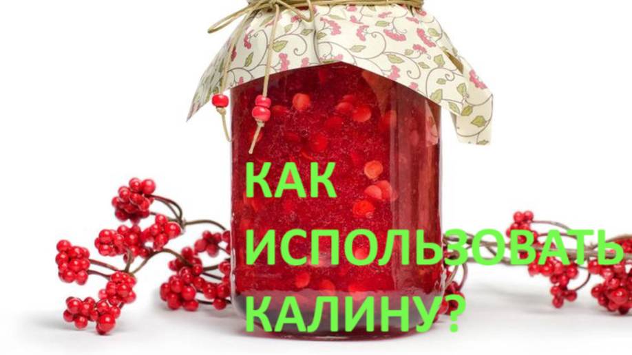 Калина обыкновенная. Как использовать? Рецепты