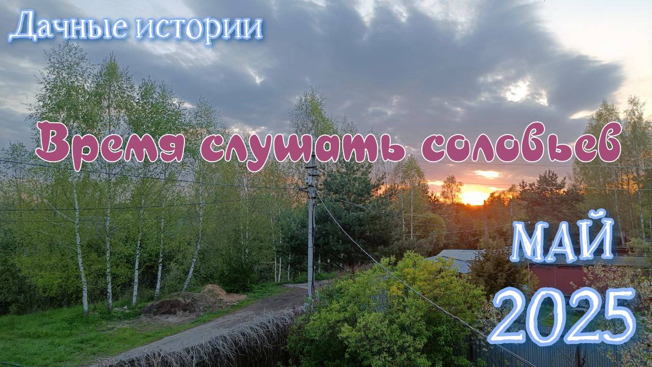 Дачные истории | Новая рисоварка и соловьиные трели | Май 2025