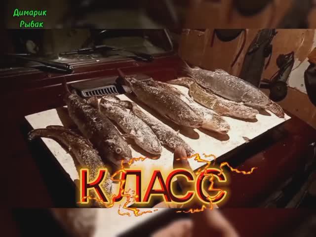 Зимняя рыбалка Января.