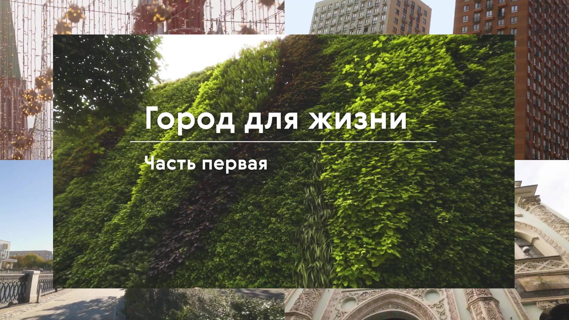 Город для жизни: Часть первая