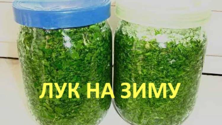 Лук в банке на зиму_ ПРОСТО, БЫСТРО, ПОЛЕЗНО!