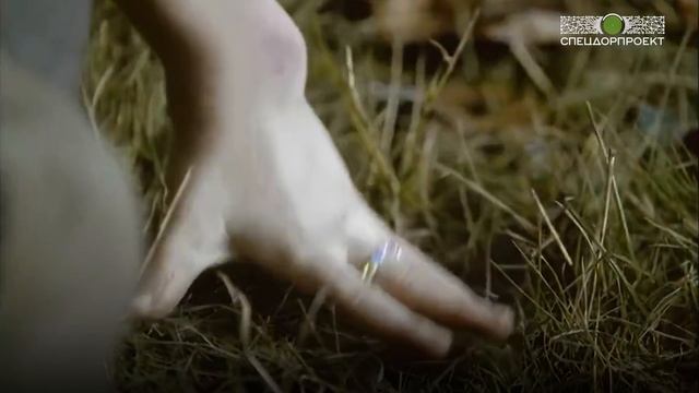 Скорость - убивает!