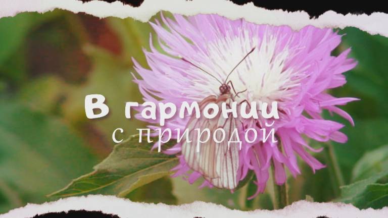 В гармонии с природой #велопрогулка#videovikа