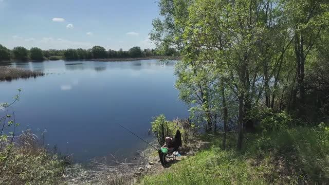 АВТОПРОГУЛКА В ВЫХОДНОЙ ДЕНЬ. Пение Птиц, Живая Природа.