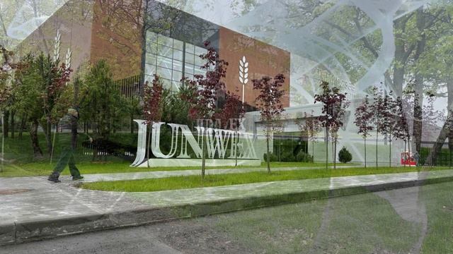 Слайд шоу.Уличная инсталляция для главной ювелирной выставки России в Москве "JUNWEX