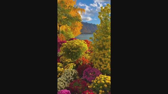 92 HA - Summer видеозалипалка