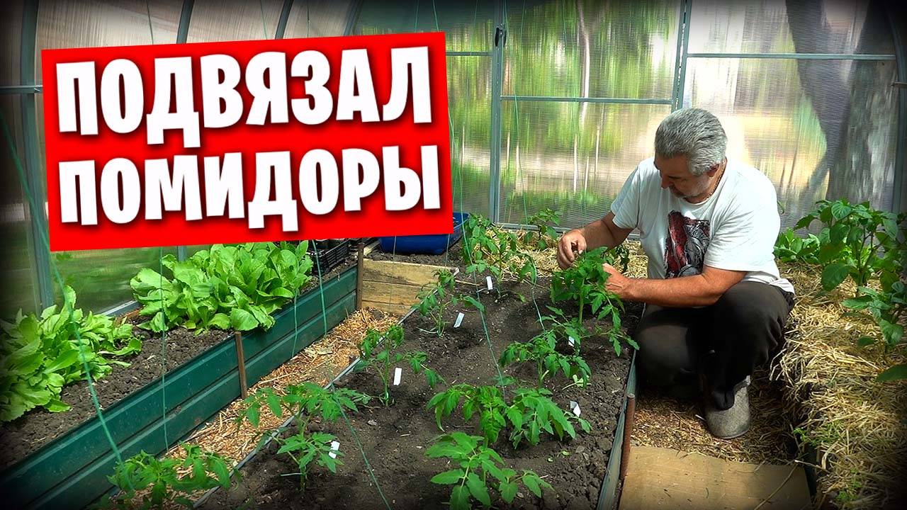 Киножурнал "Земля и глина" / Наш сад и огород в Донецке / Кошки на батуте